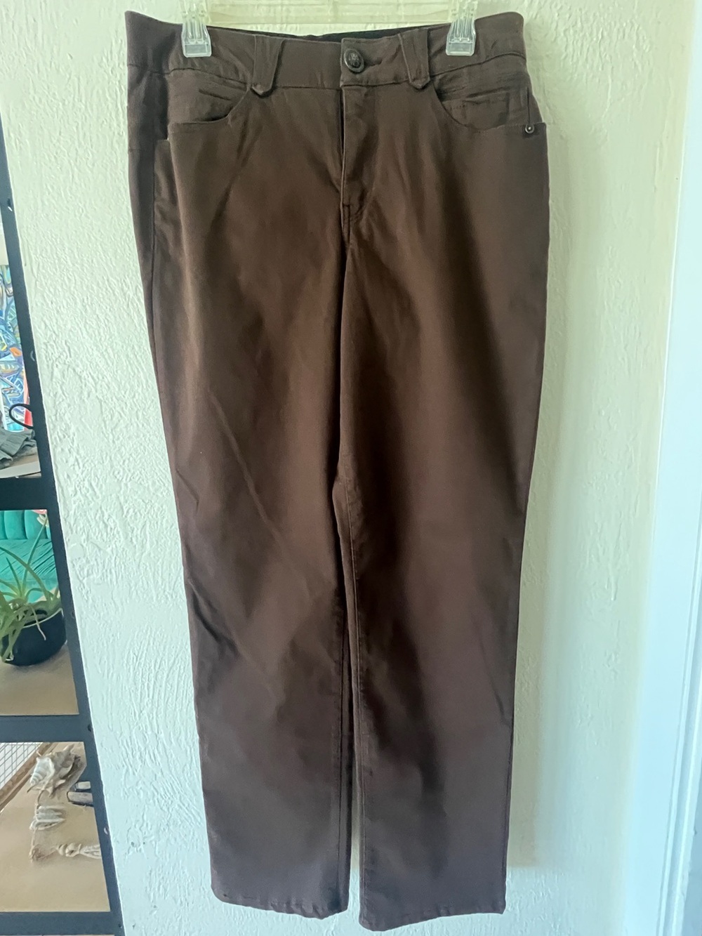 Democracy Absolution Brown Boot Cut Pants